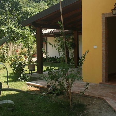B&B Del Castagneto San Marco Argentano Exterior foto